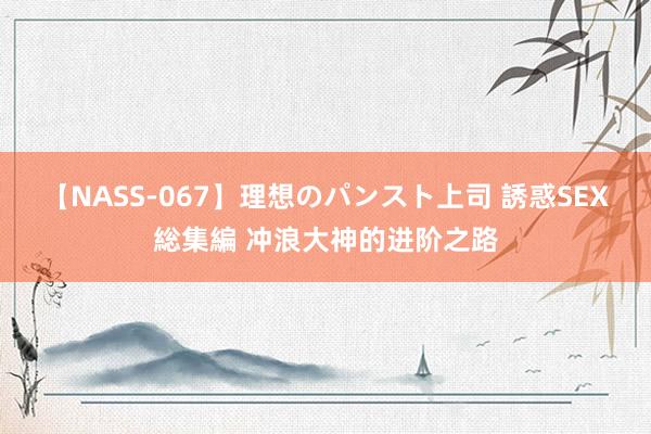 【NASS-067】理想のパンスト上司 誘惑SEX総集編 冲浪大神的进阶之路