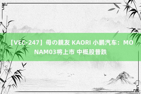 【VEC-247】母の親友 KAORI 小鹏汽车：MONAM03将上市 中概股普跌