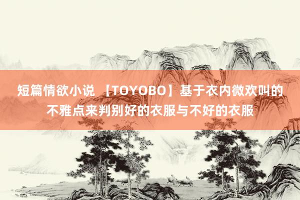 短篇情欲小说 【TOYOBO】基于衣内微欢叫的不雅点来判别好的衣服与不好的衣服